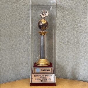 CAPEXIL Awards