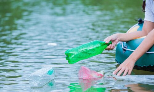 Lake_Cleaning_1