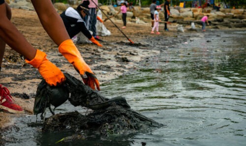 Lake_Cleaning_3