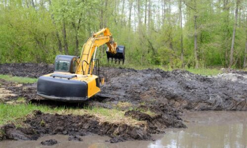 Lake_Cleaning_4